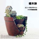 新生活 植木鉢 プランター 多肉 苔 コケリウム 苔リウム 箱庭 鉢 可愛い サボテン 多肉植物 寄せ植え 置物 インテリア かわいい 樹脂 テラリウム 容器 ...