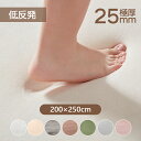 ラグ 低反発 極厚25mm 200×250cm はっ水 ラグマット 抗菌防臭 カーペット 厚手 滑り止め 洗える 角型 撥水 床暖房 ホットカーペット おしゃれ...