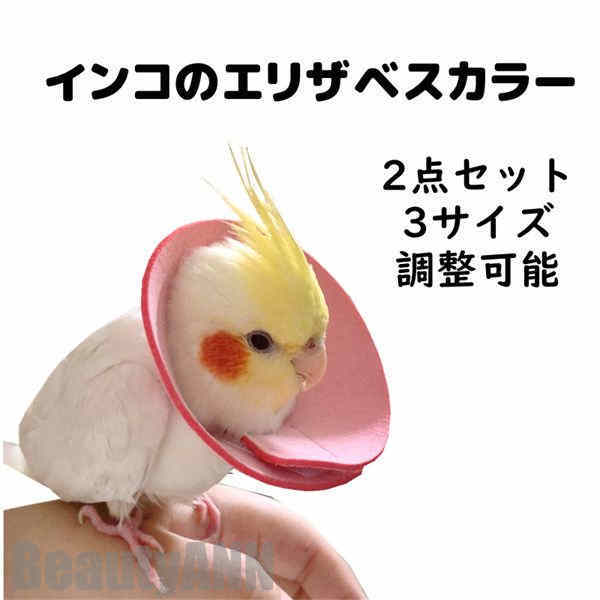 新生活 エリザベスカラー 2点セット インコ 鳥 首輪 調整可能 羽根抜き防止 傷口保護 傷舐め防止 術後 ヘルスケア 術後ウェア ソフト ..