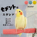 新生活 スタンド 鳥用パーチ セメント製 取付け簡単 噛む 爪とぎ オウム インコ 色ランダム 色落ちしない 洗える 長く使える 鳥用品 ペット 鳥 ケージスタ...
