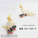 新生活 スケートボード 鳥用 2点セット 中型 インコ オウム 鳥用品 ペット 鳥 爪とぎ おもちゃ 立て 知育 玩具 訓練玩具 ストレス解消 ..