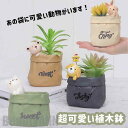 新生活 プランター 植木鉢 ミニ 多肉 苔 コケリウム 苔リウム 箱庭 可愛い 鉢 サボテン 多肉植物 寄せ植え 置物 インテリア かわいい 樹脂 テラリウム ...