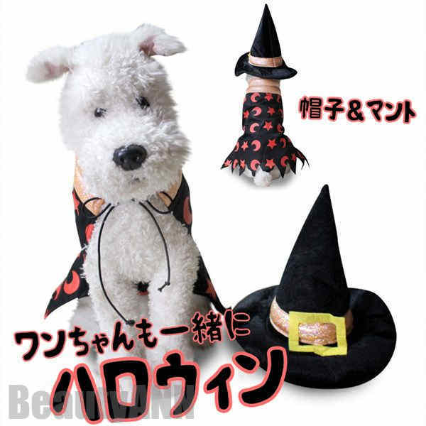 新生活 ハロウィーン コスプレ ペット 服 猫 犬 Halloween 2点セット マント ハット 帽子付き 可愛い 着用簡単 犬用 猫用 いぬ ねこ ペ..