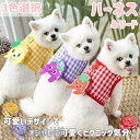 新生活 ハーネス リード リュック 2点セット 猫 犬 脱出防止 バッグ付き かばん 鞄 調節可能 メッシュ 小型犬 中型犬 猫用 犬用 犬具 胴輪 散歩 お出...