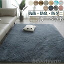ラッテ マイクロファイバー シャギーラグ長方形 洗える 北欧 オールシーズン おしゃれ じゅうたん ラグマット カーペット 絨毯 カーペットカバー 洗濯可 ムー...
