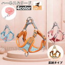 ハーネス リード 2点セット 犬用 猫用 ペット用 反射テープ 光る バックル Dカン 散歩紐 シンプル カジュアル お洒落 かわいい 可愛い 犬 猫