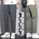 カーゴパンツ メンズ 大きいサイズ ワイドパンツ ゆる 夏 薄手 春 秋 カジュアル ボトムス ワークパンツ