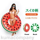 浮き輪 大人 大き目 120cm スイカ すいか フルーツ 大人用 フロート プール 海 レジャー旅行 インスタ sNs 映え おしゃれ プレゼント ポイント消...