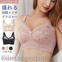 ブラジャー ブラ 春新作 ノンワイヤー 単品ブラジャー レディース 女性 補正下着 自胸 育乳ブラ 谷間 脇肉 脇すっきり 柔らか 脇高 インナー 無地 通気a