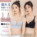 ブラジャー ブラ 春新作 ノンワイヤー 単品ブラジャー レディース 大きいサイズ 女性 補正下着 自胸 育乳ブラ 谷間 脇肉 脇すっきり 柔らか 脇高 イン