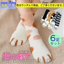 冷え対策 6足セット 暖 保温 靴下 もこもこ レディース ソックス 猫 ネコ 冷え取り 厚手 防寒 ルームソックス 秋冬 保温グッズ