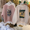 パーカー トップス レディース 原宿風 プルオーバー フード スウェット ゆったり 裏起毛 韓国ファッション アウター 裏ボアパーカー ストリート系 パーカ 秋...