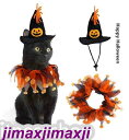 新生活 帽子+スカーフ ハロウィン変身 犬用 猫ちゃん 帽子 猫用 首輪 ストール アクセサリー クリスマス ペット用 帽子 コスプレ ペット用品 可愛い 散歩...