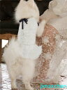 新生活 ペット用ワンピース ウェディングドレス ペット服 フォーマルドレス ワンピース ネコ 犬猫服 写真 お祝い 記念 パーティー ドッグウェア