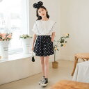新生活 気楽 韓国こども服 春服 夏服 100%綿生地 2点セット キッズ 女の子 こども服 子供服 トップス パンツ セット 120 130 140 150 ...