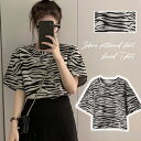 新生活 気楽 半袖Tシャツ レディース Tシャツ 半袖シャツ 万能Tシャツ ティーシャツ クルーネック カジュアル ショート丈 半袖 トップス シンプル ベーシ...