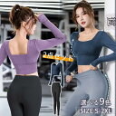 新生活 気楽 フィットネスウェア レディース 上下2点セット 長袖Tシャツ レギンス マラソンウェア ジムウェア スポーツウェア ヨガウェア Uネック トップス...