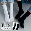 新生活 気楽 ソックス レディース メンズ 3足セット ハイソックス カップル 靴下 ルーズソックス クルーソックス カラーソックス カラフルソックス くつ下 くつした トレンド 大人 就