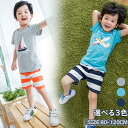 新生活 気楽 キッズ キッズシャツ 男の子 綿95% 2点セット 半袖シャツ 半ズボン ショートパンツ ひも付き クルーネック 涼しい デザイン感 子供服 小学...
