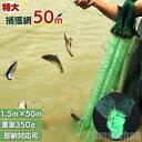 新生活 気楽 投網 罠型捕獲ネット ロングタイプ グリーン とあみ 魚 漁業 漁師 フィッシング スポーツ 釣具 カニ エビ 追い込み漁 捕獲ネット 漁 網 あ...