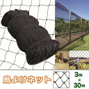 新生活 気楽 鳥よけネット 畑 ネット 30m ブラック バードネット 長さカット 可能 防鳥ネット カラス対策 からすよけ ゴミネット 家庭菜園ネット 農業用...
