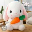 新生活 気楽 ぬいぐるみ ウサギ 特大 人参 にんじん クッション 兎 うさぎ うさちゃん 抱き枕 動物 アニマル かわいい チャーミング おもちゃ 誕生日 クリスマス ギフト サプライズ