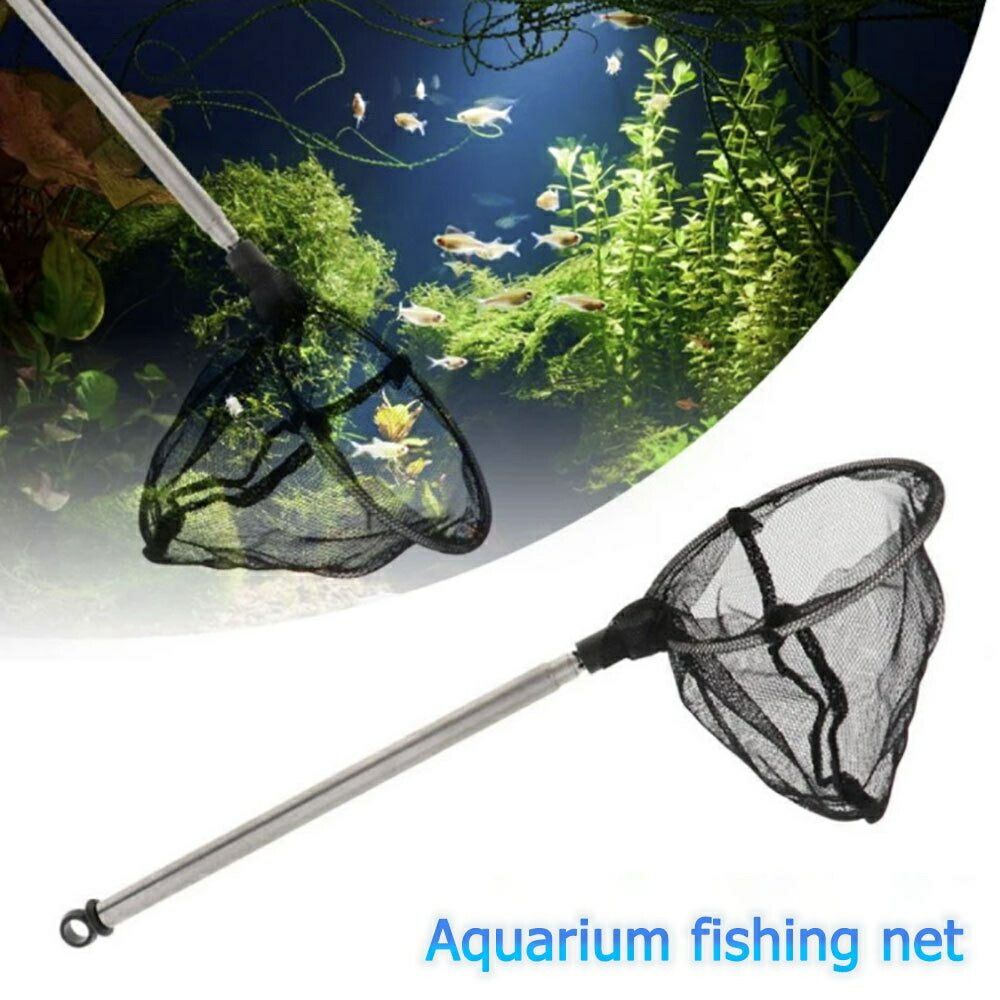 新生活 気楽 水槽 用 お手入れ 網 アミ 丸型 水槽掃除 アクアリウム 隔離 メダカ 安心 安全 飼育 自由研究 かわいい 可愛い ペット 稚魚 淡水 観察 ...