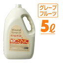 【P5倍】　マッサージオイル 業務用 グレープフルーツ 大容量 5L LLE ミネラルマッサージオイル ボディマッサージオイル アロママッサージオイル アロマ マッサージ アロマオイル ボディオイル ボディーオイル オイルマッサージ サロン用品 施術用 エステ用品 ポンプ別売り