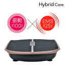 ハイブリッドコア　Hybrid Core リモコン・e-ボディバンド・マット付属　振動ボード+EMS機能　有酸素運動 バランストレーニング 体幹トレーニング　下半身の筋肉トレーニング　自宅トレーニング 巣ごもり ハイブリットコア1年保証【送料無料】 その1