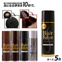 ヘアフォロー　サッとひと吹きでしっかり固定　長時間ふんわりと自然な仕上がり　毛髪に優しい潤い成分配合　