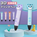 3Dペン 3Dプリンター ワイヤレス 3Dプリントペン 知育玩具3dプリントペン 親子 立体絵画 DIY 手作り 低温設計 PLAフィラメント スピード調整機能...