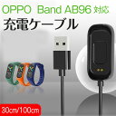OPPO Band Style Spo2 AB96対応 充電ケーブル 充電器 スマートウォッチ充電ケーブル OPPO Band Style Spo2 AB96 充電器 USB充電 磁気吸着 高耐久 便利性 低発熱 急速充電 断線防止 軽量 小型 持ち運び便利 30cm、100cm