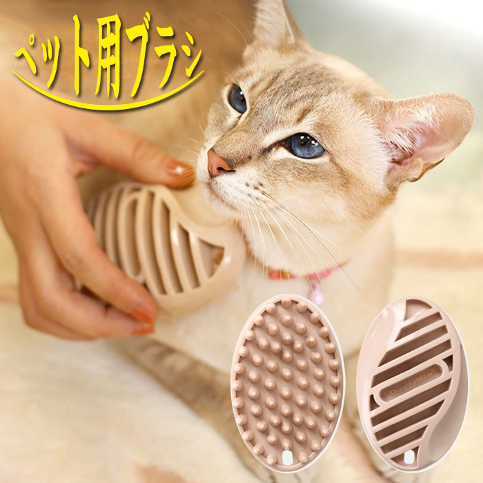ڥå С֥饷  ֥饷 ȴӼ û  ǭ ڥåѥ֥饷ˤʤ եȥޥå֥饷 ǭ 