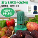 サイズ：画像に参考 電圧：5 V-1.3 A 電池容量：3600 mAh 正味重量：320 G 外観材質：ABS カラー：グリーン/ブルー/ホワイト 作動時間：約10-15分（4-〜6 Lの水） 適用：水道水、ろ過水など異なる水質 容量：6L以下 制御方式：機械式 製品の特徴 ●ワイヤレス浄化し、安心して食べる可能 ●残留農薬を除去し、細菌を殺し、多種類洗浄可能 ●容器を選ばず、コンパクトで携帯可能、ワイヤレス充電 ●IPX 7本体防水、漏れ防止の構造、強電接触なし ●除菌率?99.9%、残留農薬を除去率＞90% ●水酸基水イオンの浄化技術 ●容器を選ばず、容積を限らず ●ワイヤレス誘導充電、フル充電は20回利用可能 ※素材の注意書き：お使いのモニターの発色具合によって、実際のものと色が異なる場合がございます。 ※以上のサイズはすベて人工で測定したもので、誤差は1-2cmで正常です。