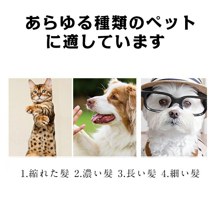 �ڥå��� �Хꥫ�� ���åȸ� ǭ �Хꥫ�� ��̳�� �ץ��� ������ ������ �㿶ư ������ �ڤ�̣ȴ�� ���ż������ɥ쥹 ����� �ȥ�ޡ� �������С� �鿴�ԤǤ�Ȥ��� ����⤵ Ĵ����ǽ �顦����­΢������ �ڥå����� �羮ưʪŬ�� 7�����å�