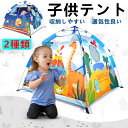 キッズテント 子供テント プレイテント おしゃれ 男の子 女の子 子ハウス ボールハウス ボールプール テントハウス 子ども 折りたたみ式 誕生日 出産祝 部屋...