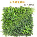 楽天BeautyEMIS 楽天市場店フェイクグリーン 壁掛け 観葉植物50x50CM 造花 グリーンマット セット スクエア おしゃれ 植物 軽量 ウォールグリーン 壁面 グリーンパーク 人口植物 プレゼント ギフト シンプル 店舗 ディスプレイ 装飾 人気 インテリア ホテル オフ1枚