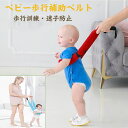 ハーネス 子供用 リーシュ 子供 迷子ひも ベビーリーシュ 幼児歩行補助ベルト 子供 迷子防止 迷子紐 転倒防止 上半身安定 幼児 迷子対策グッズ 迷子対策ロープ ハーネス おでかけ 幼稚園 保育園 安全 ベルト キッズ 子供セーフティーベルト 遊び スーパー
