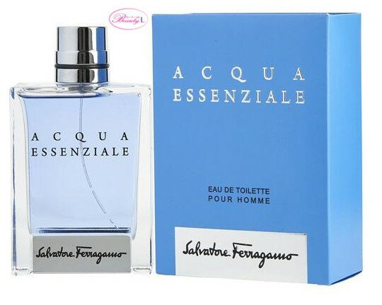 フェラガモ　Ferragamoアクアエッセンツィアーレ EDT/SP 100ml