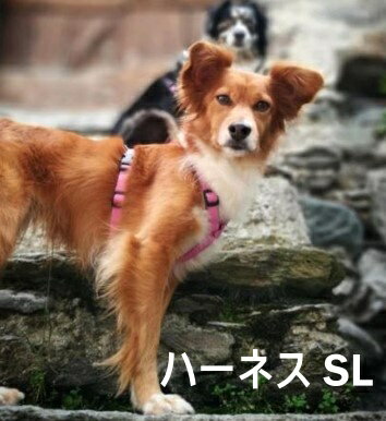 ハキハナ社製ハーネスイタリア製 愛犬 犬用 軽量 胴輪 