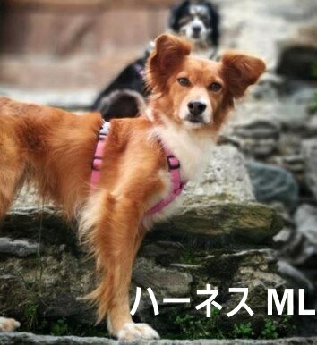 ハキハナ社製ハーネス【H】【MLサイズ】イタリア製 愛犬 犬用 軽量 胴輪 【イタリア・ハキハナ社正規品..