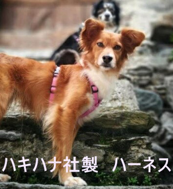 ハキハナ社製ハーネスイタリア製 愛犬 犬用 軽量 胴輪 