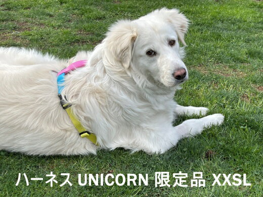 ハキハナ社製ハーネスMXCマルチカラー UNICORN ユニコーン2022 限定品特別パッケージ　プレゼントに最適犬用 胴輪 