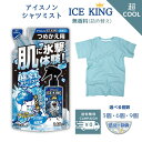 白元アース アイスノン アイスキング 極冷ミスト 無香料 詰め替え 140mL 熱中症対策 熱中症対策グッズ 工事現場 熱中症対策グッズ 最強 暑さ対策 グッズ 抱っこ紐 暑さ対策グッズ 屋外 扇風機 自転車 通勤 災害 保湿 クール ひんやりグッズ フェス