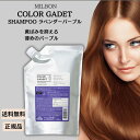 カラーガジェット カラーシャンプー ラベンダーパープル 1000ml 美容室 サロン専売品 美容院 ヘアケア 色落ち きしみ ヘアケア成分 カラシャン色持ち