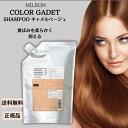 ミルボン カラーガジェット カラーシャンプー キャメルベージュ 1000ml美容室 サロン専売品 美容院 ヘアケア 色落ち きしみ ヘアケア成分 カラシャン色持ち