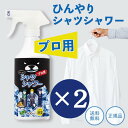 ひんやりシャツシャワー プロ用 本体 500ml 2本 ミントの香り 熱中症対策 グッズ 工事現場 ヘルメット 帽子 冷却 スプレー 暑さ対策 屋外 ひんやり ...
