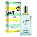 ジャンヌアルテス 香水 メンズ セクシーボーイ ザ フィール EDT・SP 100ml 香水 フレグランス プレゼント 贈り物 ギフト SEXY BOY THE FEEL JEANNE ARTHES
