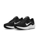 iCL NIKE GA EBt[ 10 Y [TCYF28.0cm] [J[FubN~zCg~ubN] #DV4022-003 2023SSyy (E)zyC YC JWAV[Yz