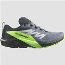 サロモン SALOMON センス ライド 5 GTX(GORE-TEX) [サイズ：27.0cm] [カラー：Fストーン×ブラック] #L47312800 2023FW【あす楽 送料無料】【スポーツ・アウトドア アウトドア シューズ】【SENSE RIDE 5 GTX FLINT STONE/BLACK/GREEN GECKO】